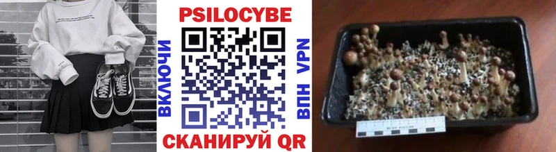 Купить где  Новоалександровск  Галлюциногенные грибы мухоморы 