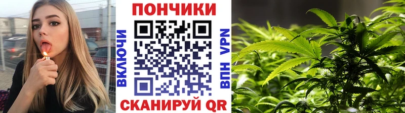 Марихуана конопля  Купить закладки  Новоалександровск 